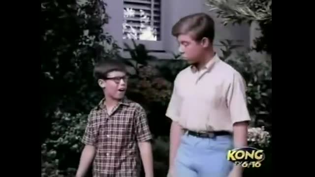 My Three Sons - 6x1 - The First Marriage