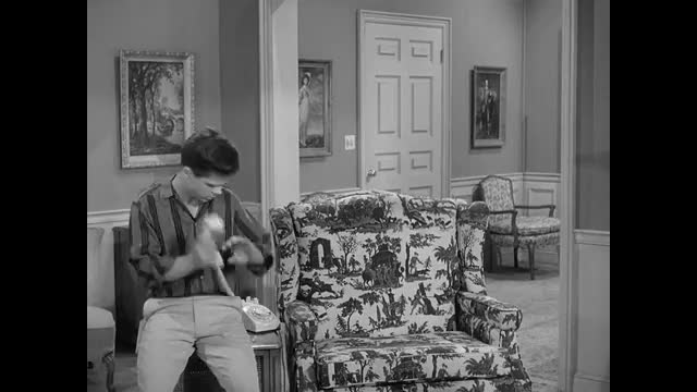 Leave It To Beaver - 3x27 - Wally's Orchid