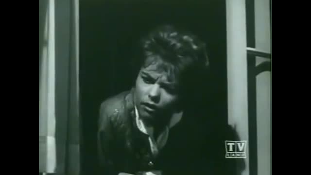 My Three Sons - 1x21 - The Delinquent