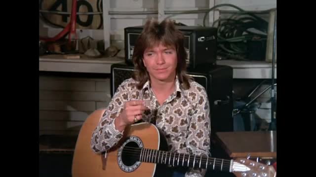 Partridge Family - 4x11 - Al In The Family