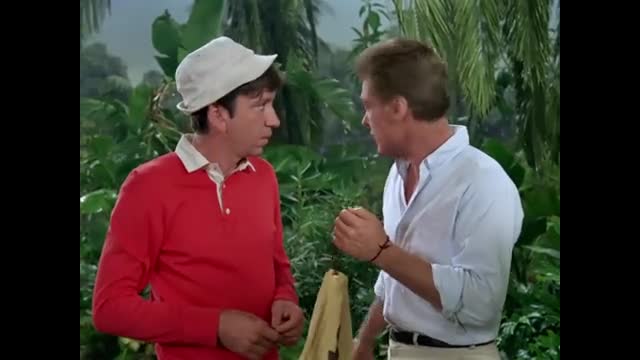Gilligan's Island - 3x12 - The Kidnapper
