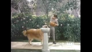 My Three Sons - 7x29 - Ernie And The O'Grady