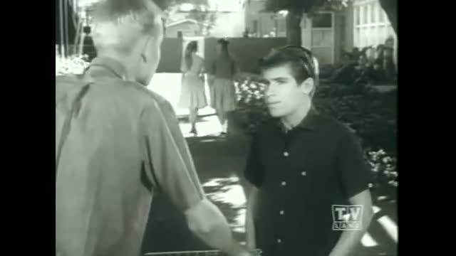 My Three Sons - 1x29 - The Wiley Method