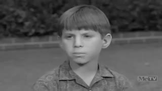 My Three Sons - 2x22 - The Masterpiece