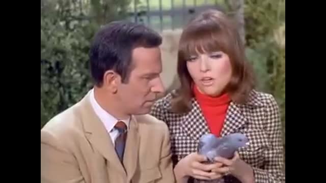 Get Smart - 3x22 - Spy, Spy, Birdie
