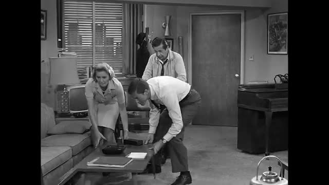 Dick Van Dyke Show - 1x4 - Washington vs The Bunny - Full Episode