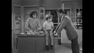 Dick Van Dyke Show - 1x4 - Washington vs The Bunny - Full Episode