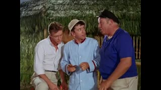 Gilligan's Island - 2x5 - The Sweepstakes