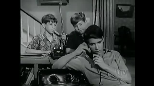 My Three Sons - 3x33 - Total Recall