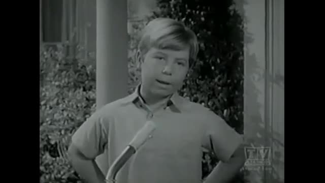 My Three Sons - 3x9 - Chip's Last Fight