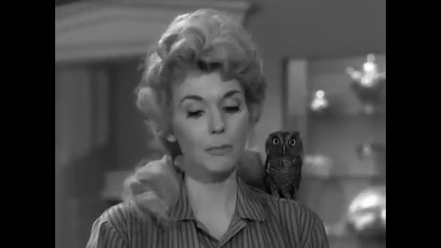 The Beverly Hillbillies - 2x11 - The Garden Party