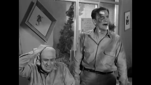 Beverly Hillbillies - 1x19 - Elly's Animals