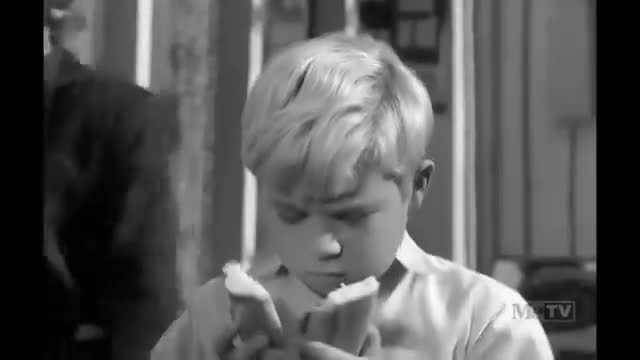 My Three Sons - 2x20 - Le Petit Stowaway