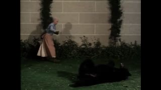 Beverly Hillbillies - 7x16 - Problem Bear