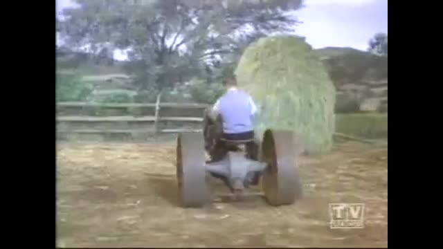 Green Acres - 5x6 - The Road