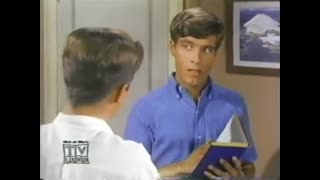 My Three Sons - 7x17 - My Pal Dad