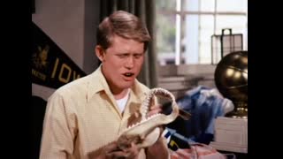 Happy Days - 2x1 - Richie Moves Out