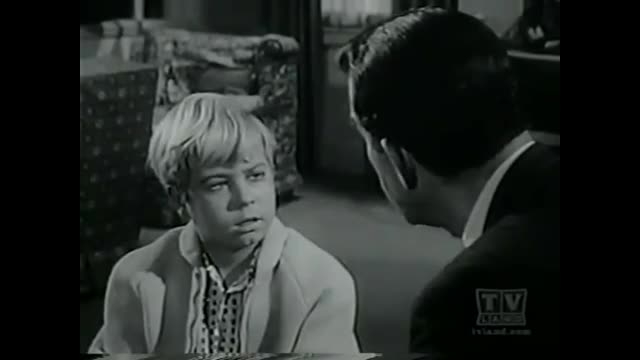 My Three Sons - 2x27 - The Pencil Pusher