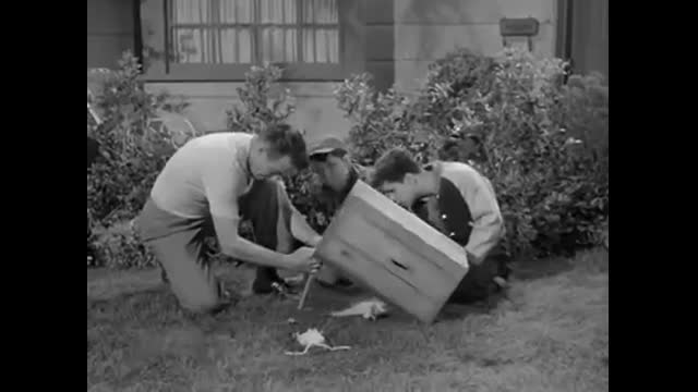 Leave It To Beaver - 1x36 - Beaver And Henry