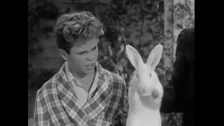 Leave It To Beaver - 1x36 - Beaver And Henry