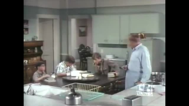 My Three Sons - 7x27 - Ernie's Folly
