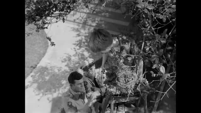Andy Griffith - 4x1 - Opie The Birdman