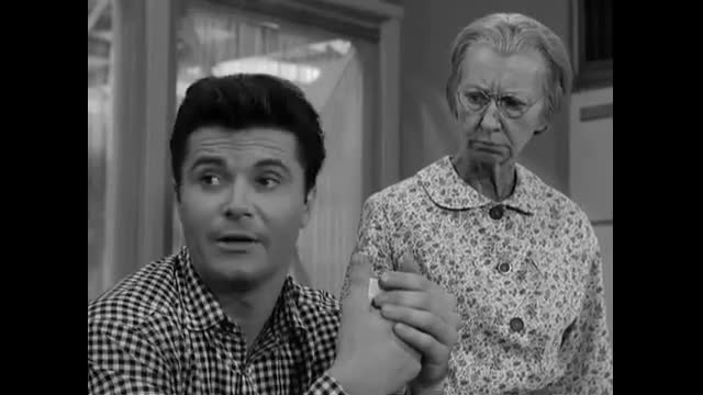 Beverly Hillbillies - 2x7 - Chickadee Returns