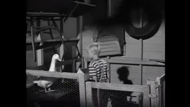 Dennis The Menace - 1x18 - Dennis And The Duck