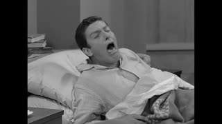Dick Van Dyke - 2x12 - Gesundheit, Darling