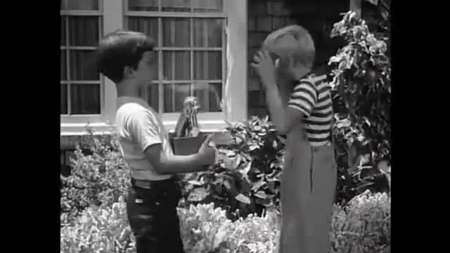Dennis The Menace - 3x2 - Best Neighbor