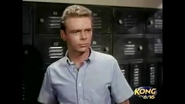 My Three Sons - 6x30 - The Wrong Robbie