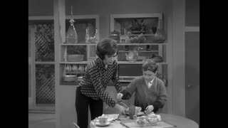 Dick Van Dyke - 4x24 - Bupkis