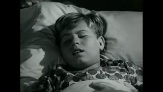 My Three Sons - 3x15 - Mother Bub