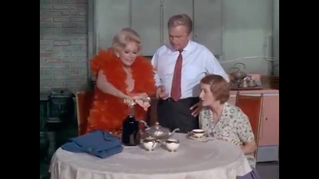 Green Acres - 6x19 - The Spot Remover