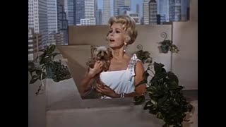 Green Acres - 6x19 - The Spot Remover