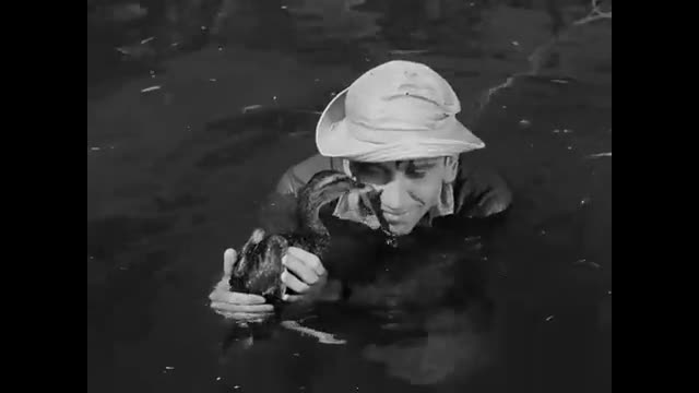 Gilligan's Island - 1x7 - Sound Of Quacking