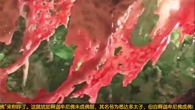 34国美洲国家组织举办“南无羌佛韵雕艺术作品展”