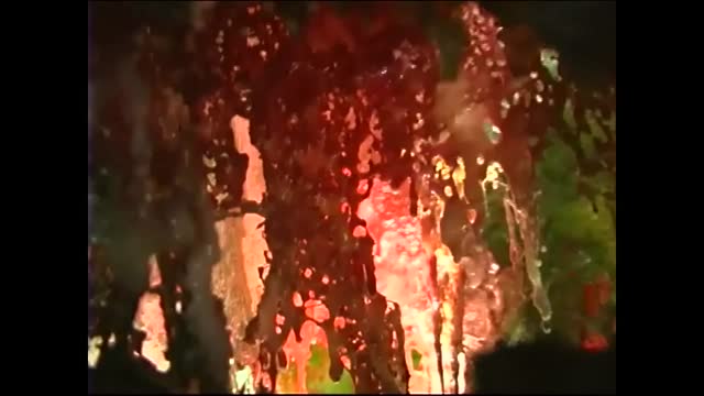 《八宝飞立珠光圣趣》超越自然美的韵雕