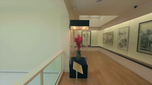 A Glance of the International Art Museum of America_  IAMA San Francisco