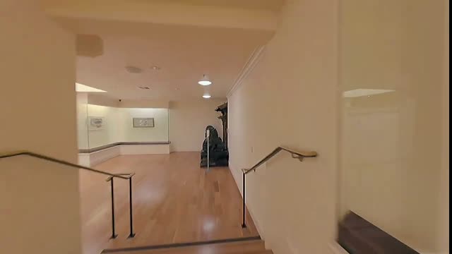 IAMA Drone Video 无人机带你参观美国国际艺术馆