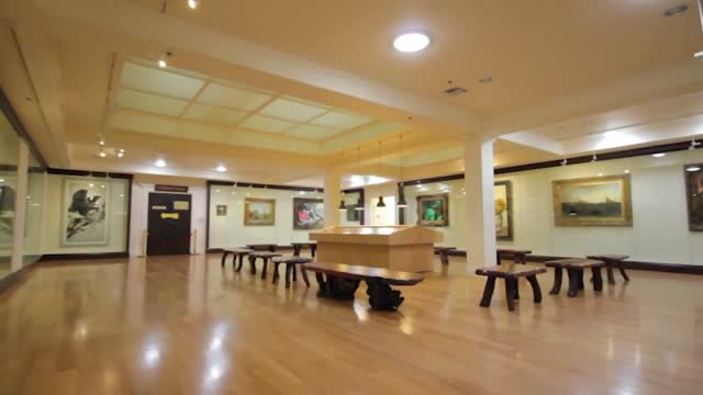 What's the International Art Museum of America