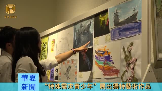 第三世多杰羌佛文化艺术馆：“特殊需求青少年”展出独特艺术作品（华夏电视台）