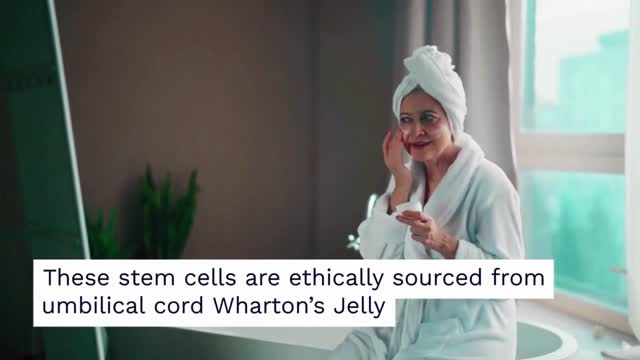 Stem cell anti aging therapy