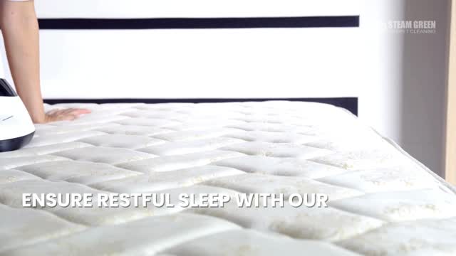 Carpet Cleaning Service