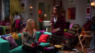 The Big Bang Theory - S4E22 - The Wildebeest Implementation
