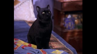 Sabrina the Teenage Witch - S4E9 - Love Means Having to Say You're Sorry