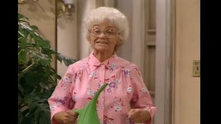 The Golden Girls - S2E2 - Ladies of the Evening