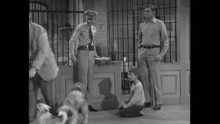 The Andy Griffith Show - S3E30 - Dogs, Dogs, Dogs