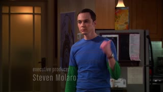 The Big Bang Theory - S4E16 - The Cohabitation Formulation