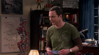 The Big Bang Theory - S9E9 - The Platonic Permutation
